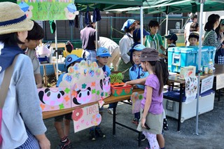 DSC_7316.jpg