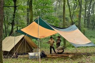 DSC_7330.jpg